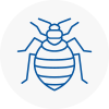 Bed Bug Extermination In En4