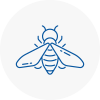 Bee Nest Removal En4
