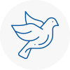 Bird Prevention En4