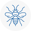 En4 Hornet Nest Removals