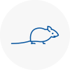 Mice Exterminators In En4