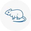 Rat Control En4