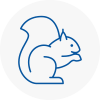 En4 Rodent Removals