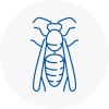 En4 Wasp Nest Removal